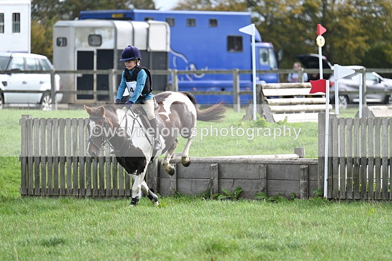 WJ7_8446 - 60cm Pairs