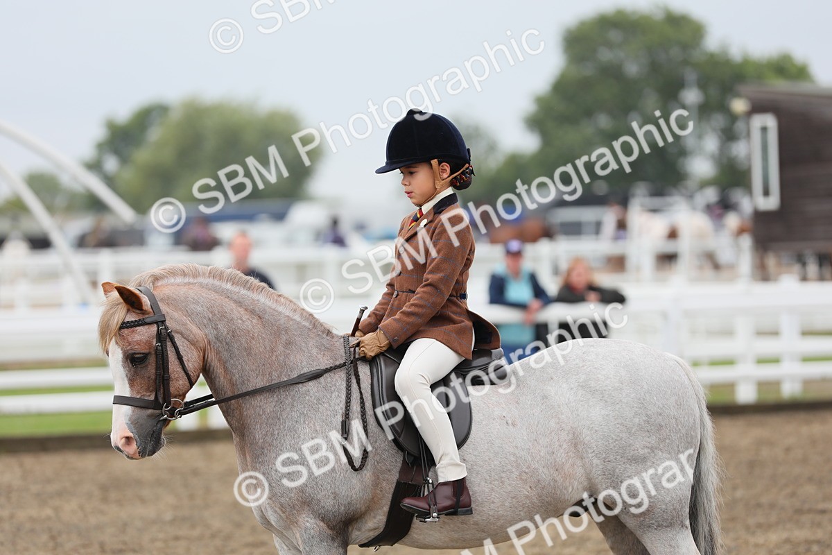 SBM_21800 - Class 806 - Young ridder 10 Yr & Under