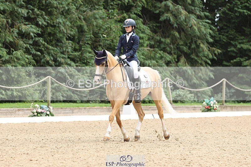 240810-142941-03655 - 301-Sophia.Longworth-Don.Deluxe