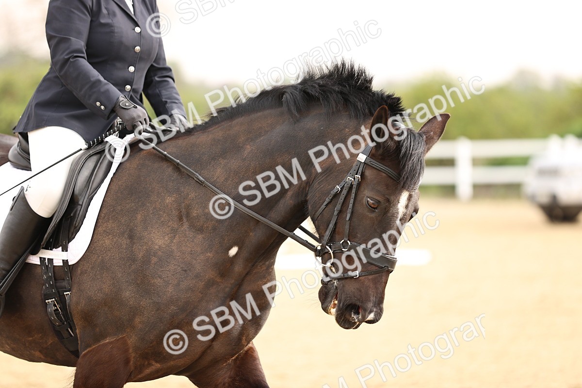 SBM_006556 - Class 2 - Intro 3