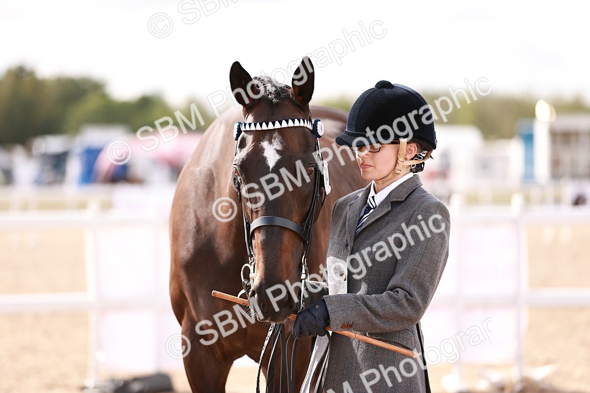 SBM_14222 - Class 407 - IH Hack Riding Horse