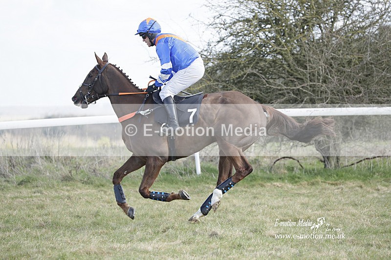 PtP 260223 564 - South & West Wilts Point-to-Point Larkhill 26/02/23