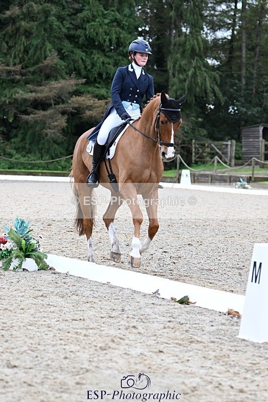 231019-130329-02918 - 049-AUGUSTUS.IMPERIOUS-Ines.Mitchell-DR