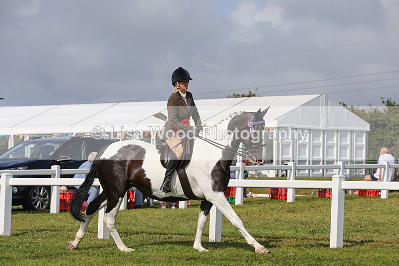 1X9A3507 - Skewbald and Piebald Ridden Championship
