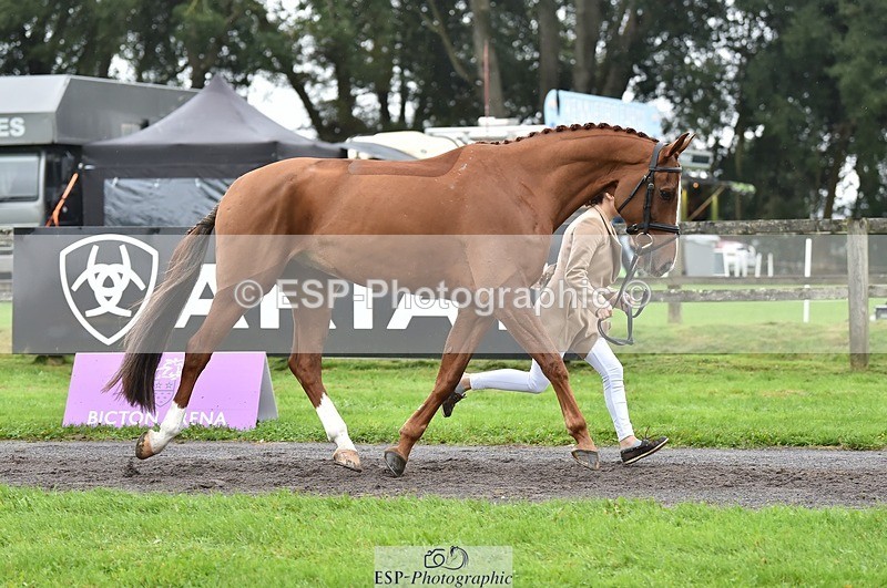 231018-123910-00428 - 051-VITAL.DK.Z-Isny.O'Donnell-TrotUp