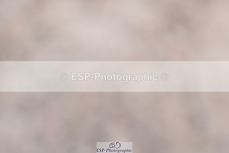 240622A-151325-12345 - Cls 35 BD Adv Medium 91