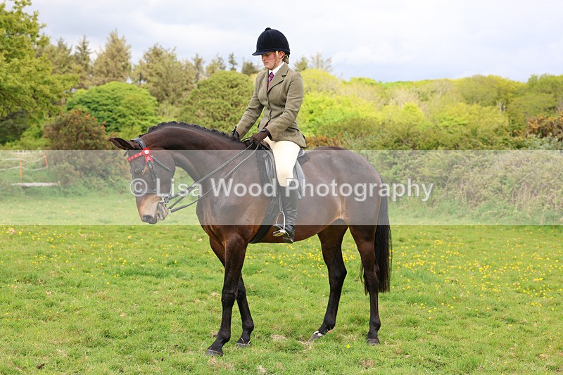 3E7A2015 - Class 10: Ridden Sports Horse