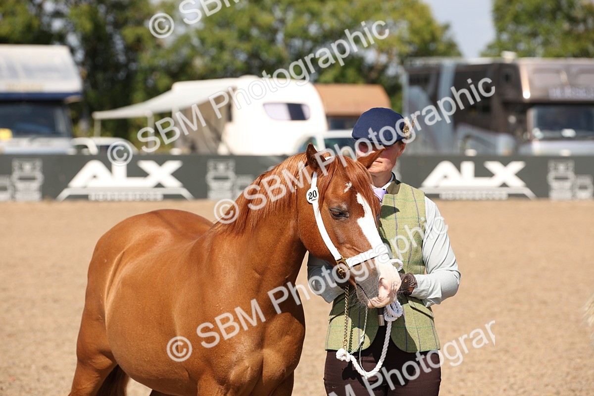 SBM_02819 - Class 16 IH M&M Wildcard