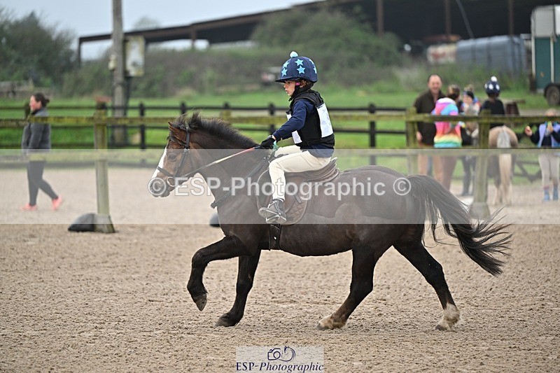 241110-093859-00035 - 40cm Showjumping