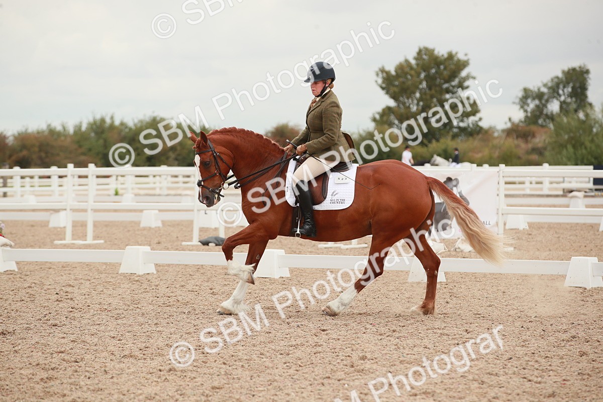 SBM_06094 - Class 33 - Elementary 1