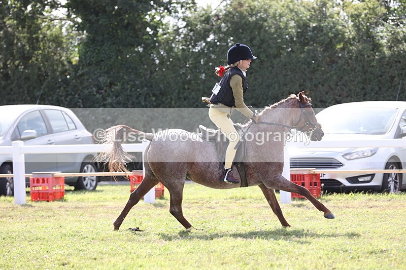 JPP_2841 - Class 20: Working Hunter 70cm