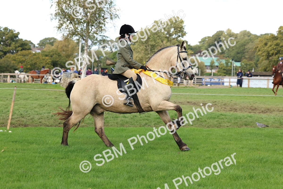 SBM_46340 - Working Hunter Pony Supreme Championship