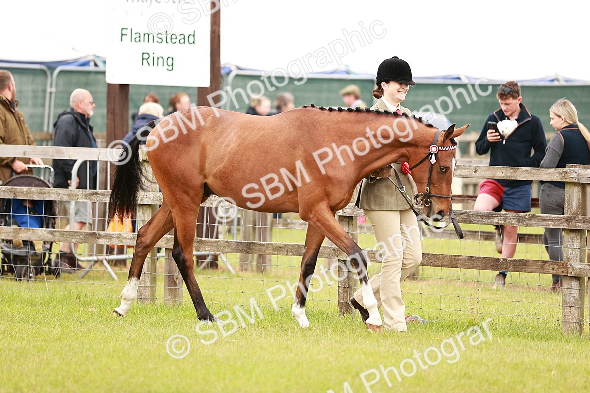 SBM_01721 - Class 31-34 Hack Breeding