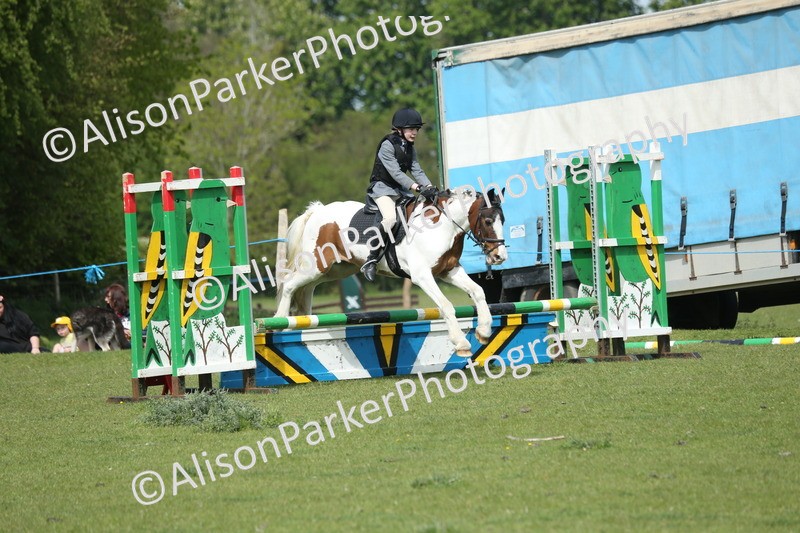 20260426-1769 - Class 14 - Novice 60cm