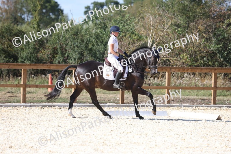 20260905-1625 - Class 5 - Novice 2