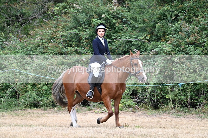 WJ7_0529 - Class 2 Best rider