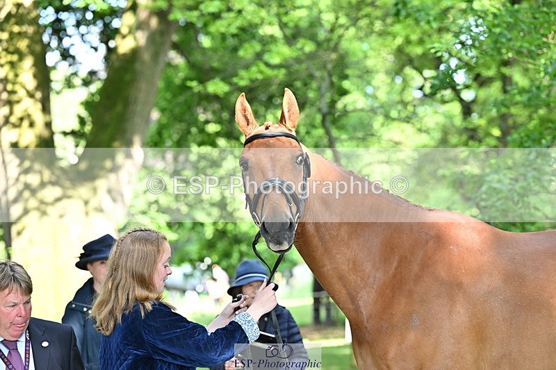 250521A-164829-01344 - C-263-Gini.Hope-PETER.PAN