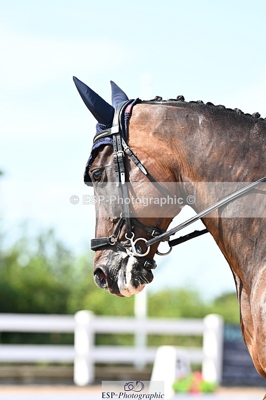 240816A-144827-05503 - 208-Sophie.Savage-Two.Tone.Ted