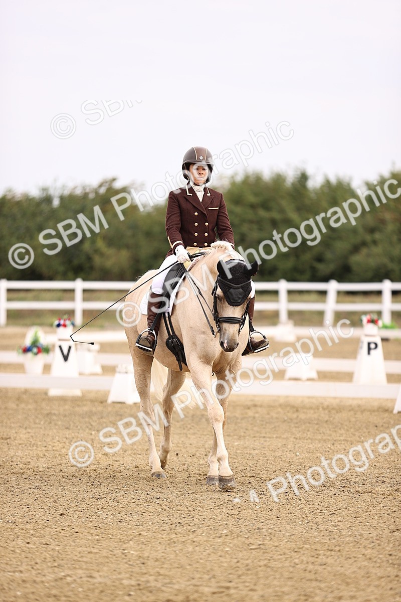 SBM_011508 - Class 1 - Medium 5