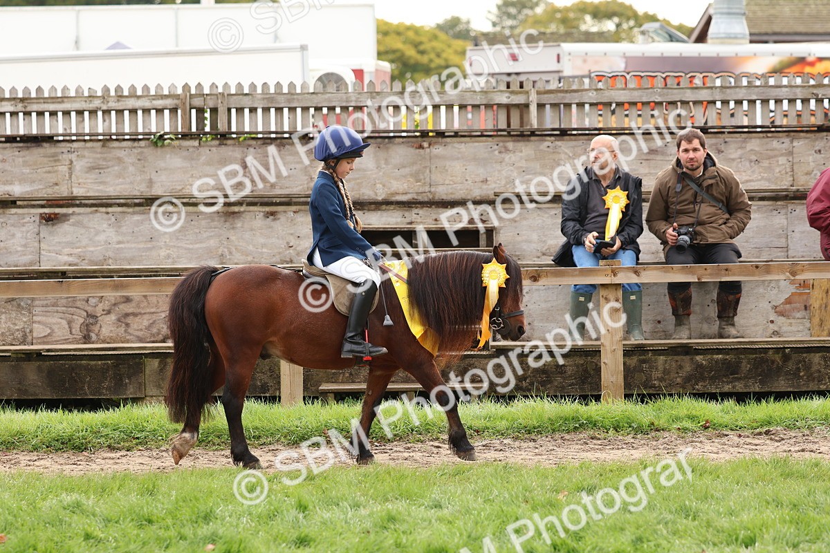SBM_59752 - Start Supreme Championship