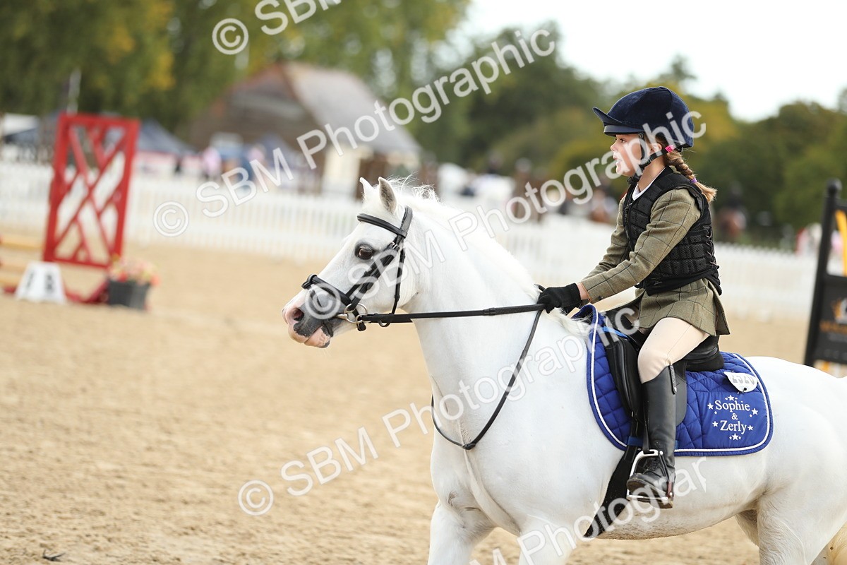 SBM_34190 - J60 Clear Round 50cm