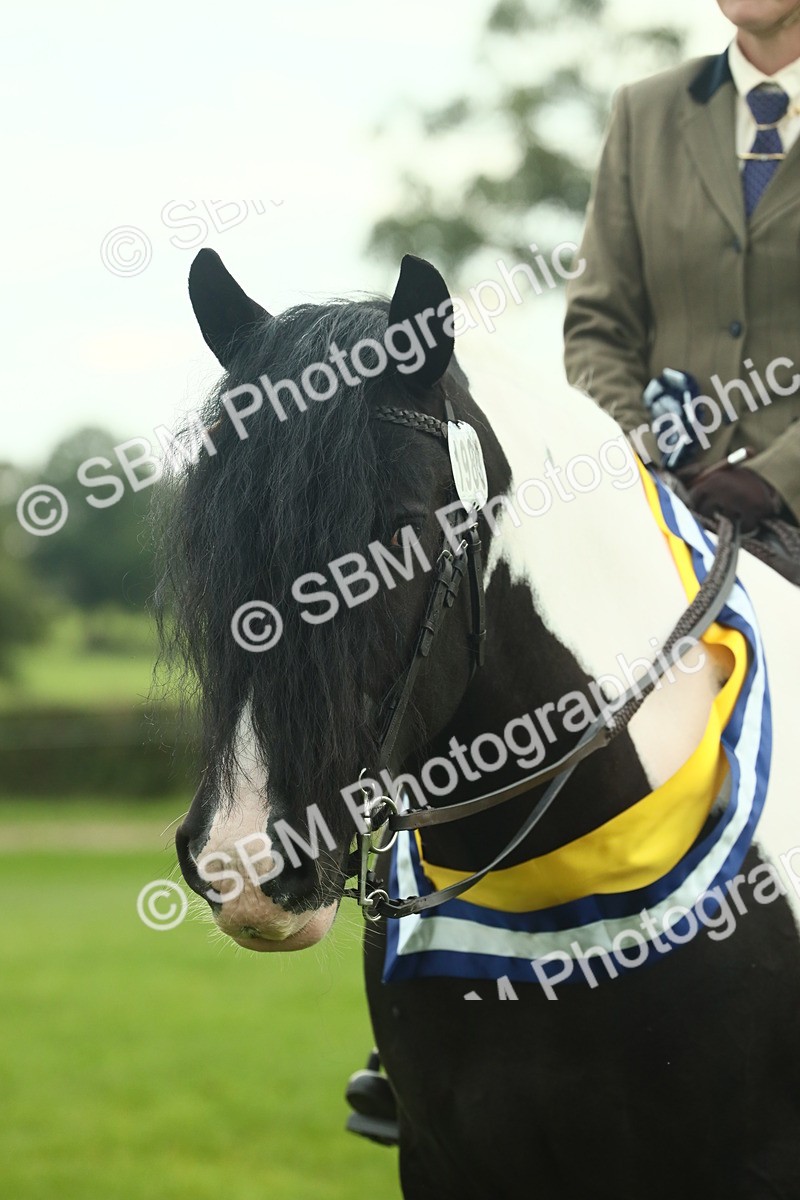 SBM_75210 - Super Supreme Championship