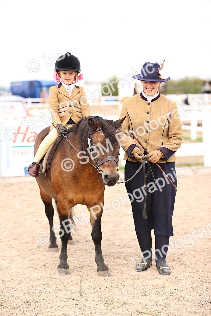 SBM_16155 - Class 420 - Horse-Pony Judge would most like to take home (IH or Ridden) Jnr