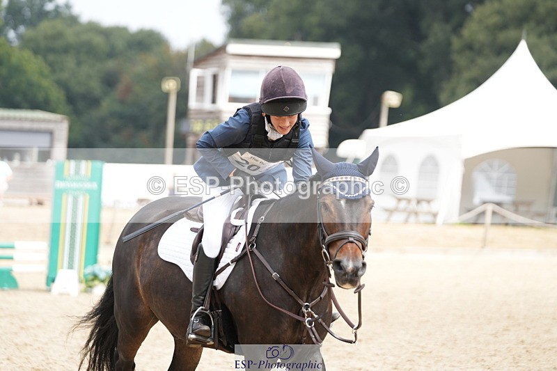 250824A-121523-35895 - 2053-Ava.Sampson-Chameleon