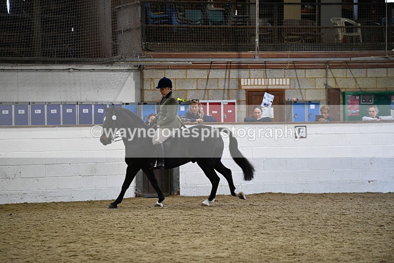 WJ5_7826 - Class 13 Ridden Part Breed