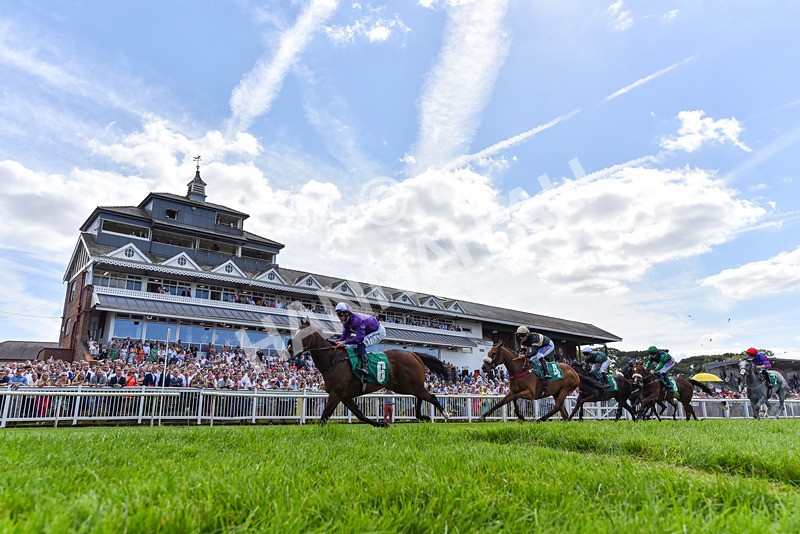 030824-Race 1-Mademoiselle-2390 - Race 1