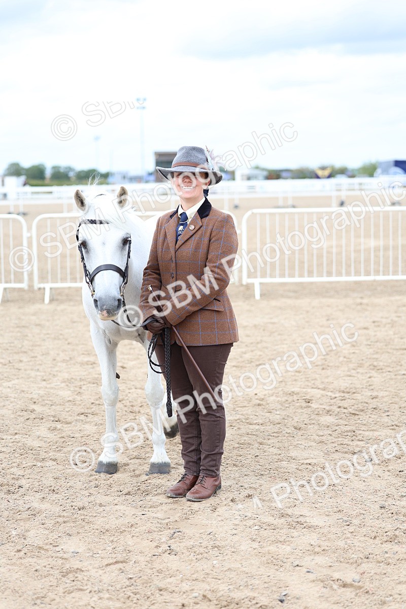 SBM_05932 - Class 29 - IH Veteran Pony