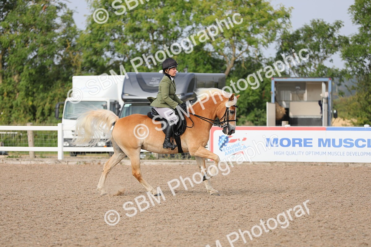 SBM_10670 - Class 303 Ridden Pure Bred Horse/Pony (excl M&M)