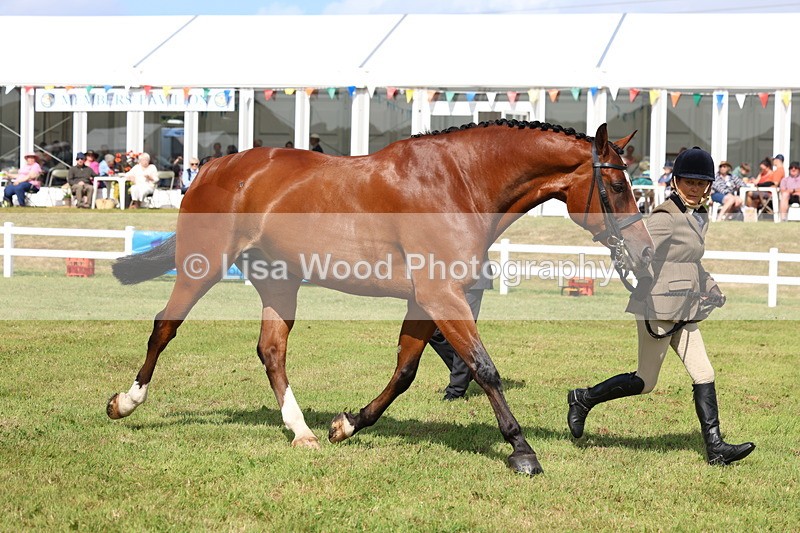 3E7A9571 - Class 4: Rising Star M/H Hunter