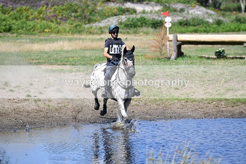 WJ5_2375 - XC Time 11:17 to 11:50