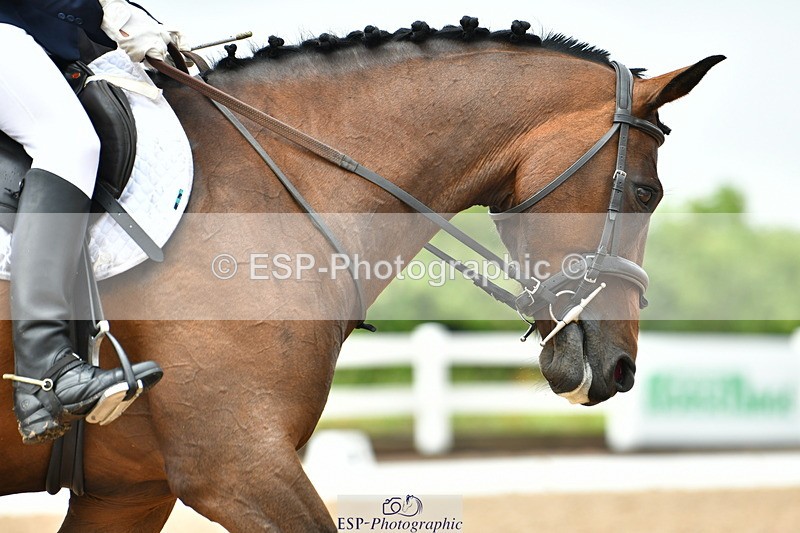 230708A-140244-03352 - Prelim 14