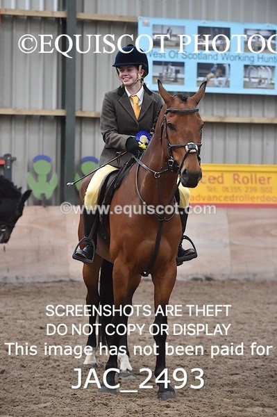 JAC_2493 - CLASS 3 Intermediate Working Hunter