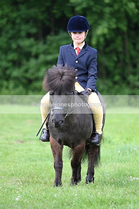 WJ7_1028 - Class 11 Condition & Turnout