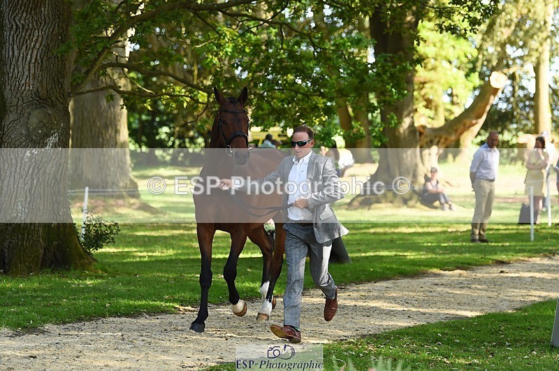 230524-164920-01110 - 162-MONBEG_GOLD_DUST-Michael_Owen-WEDTrotUp+DR