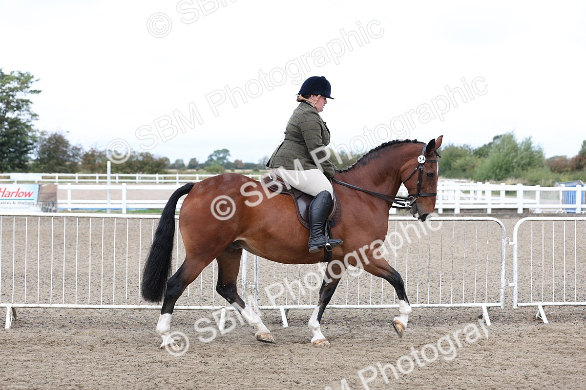 SBM_01475 - Class 52 - Ridden Veteran