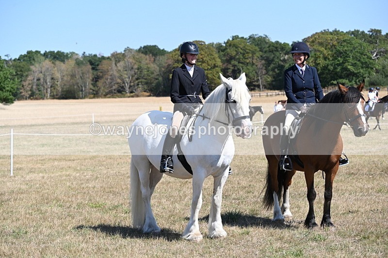 WJ6_8395 - Class 37a Best Loan Pony Ridden