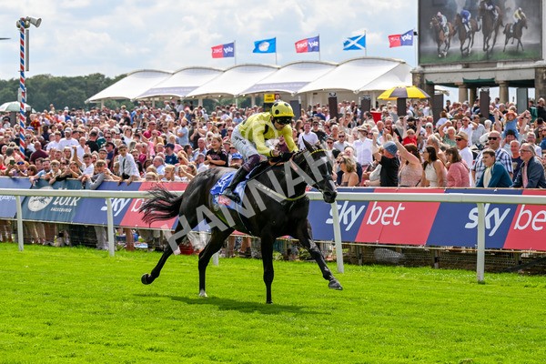 260725-Race 3-Royal Champion-0460 - Race 3 2.40pm Sky Bet York Stakes