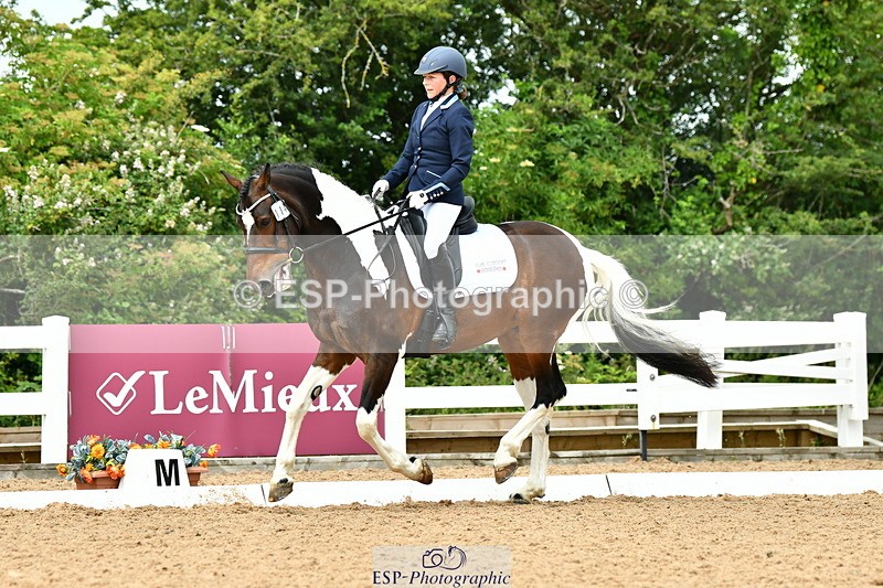 230702A-123037-09631 - Cls 28 Elementary 45