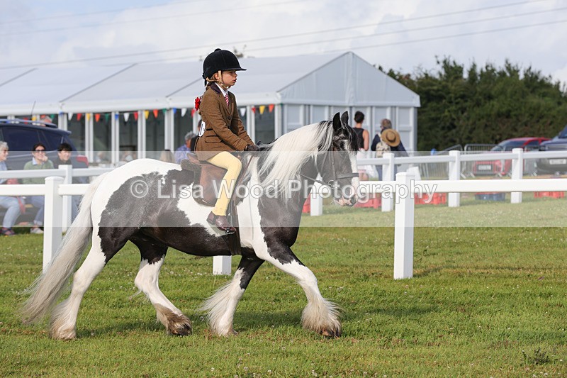 1X9A3182 - Class 28: Ridden Native/Trad Coloured Pony