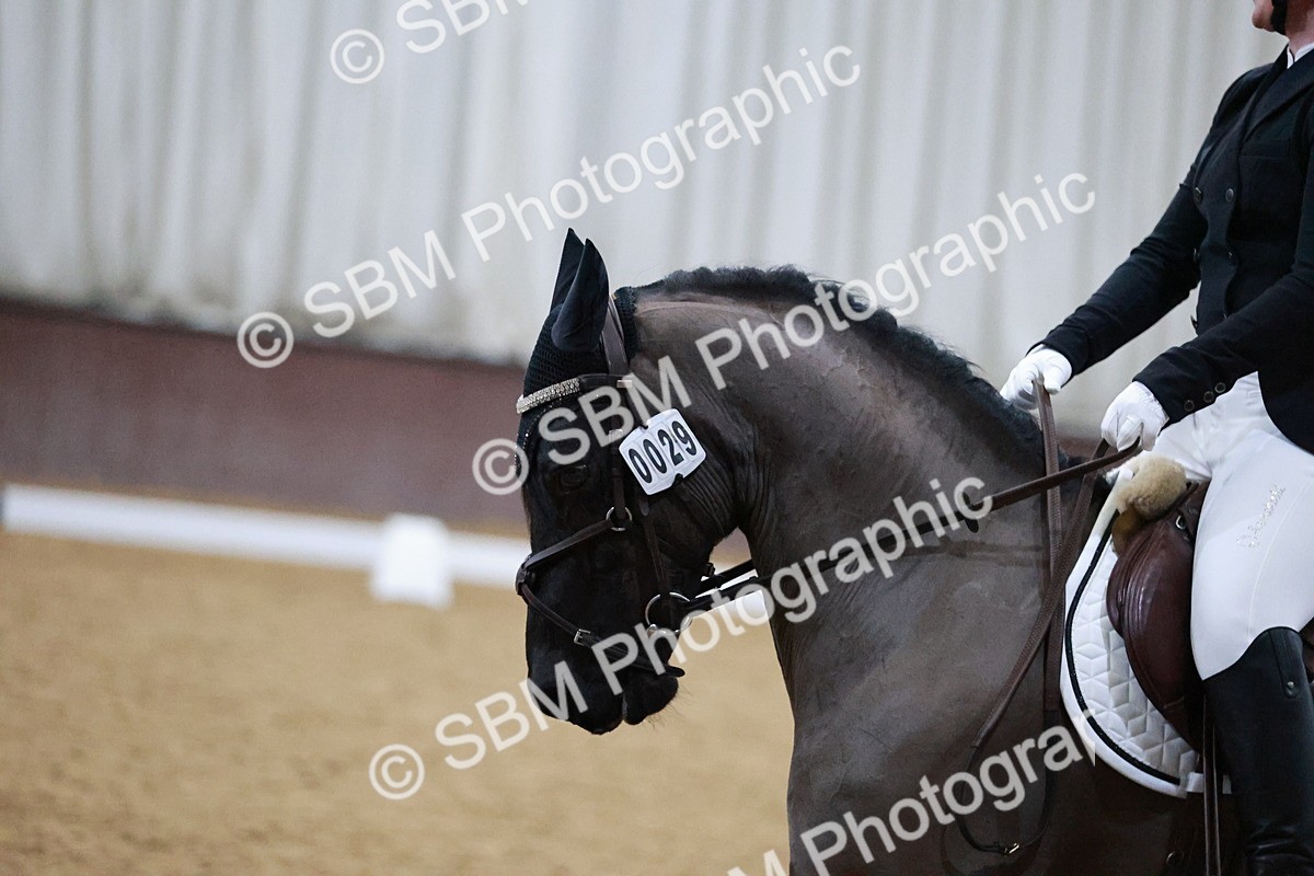 SBM_000570 - Class 7-6 - Novice 3-Novice 2