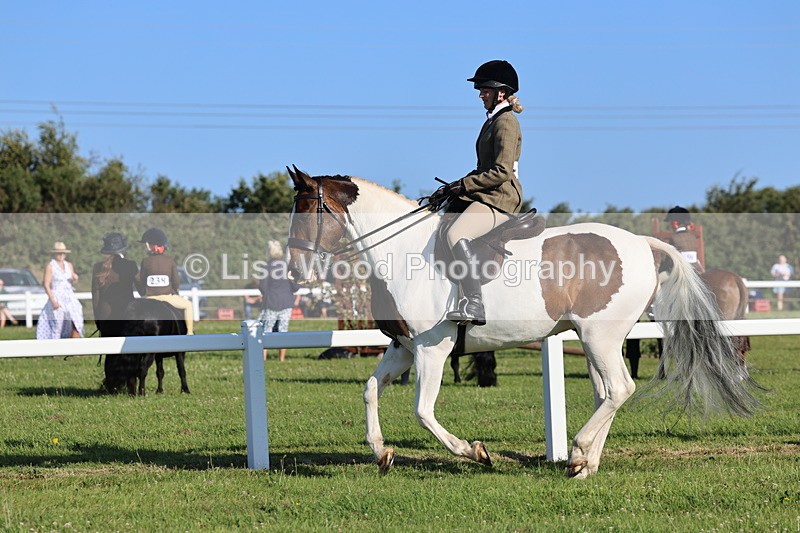 IMG_1236 - Class 27: Ridden Plaited Coloured Horse