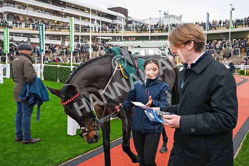 151125-Race 5-Gowel Road-3798 - Race 5