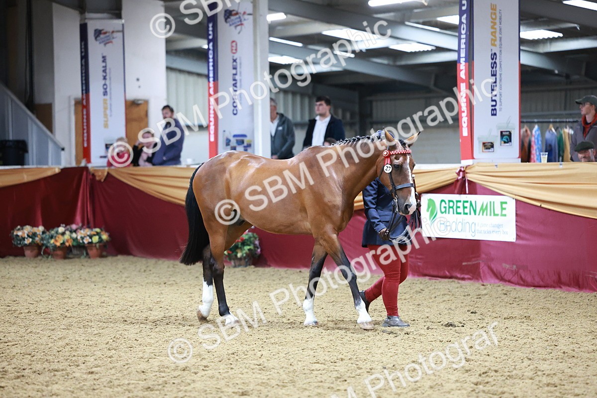 SBM_20100 - Class C - Novalty Champ