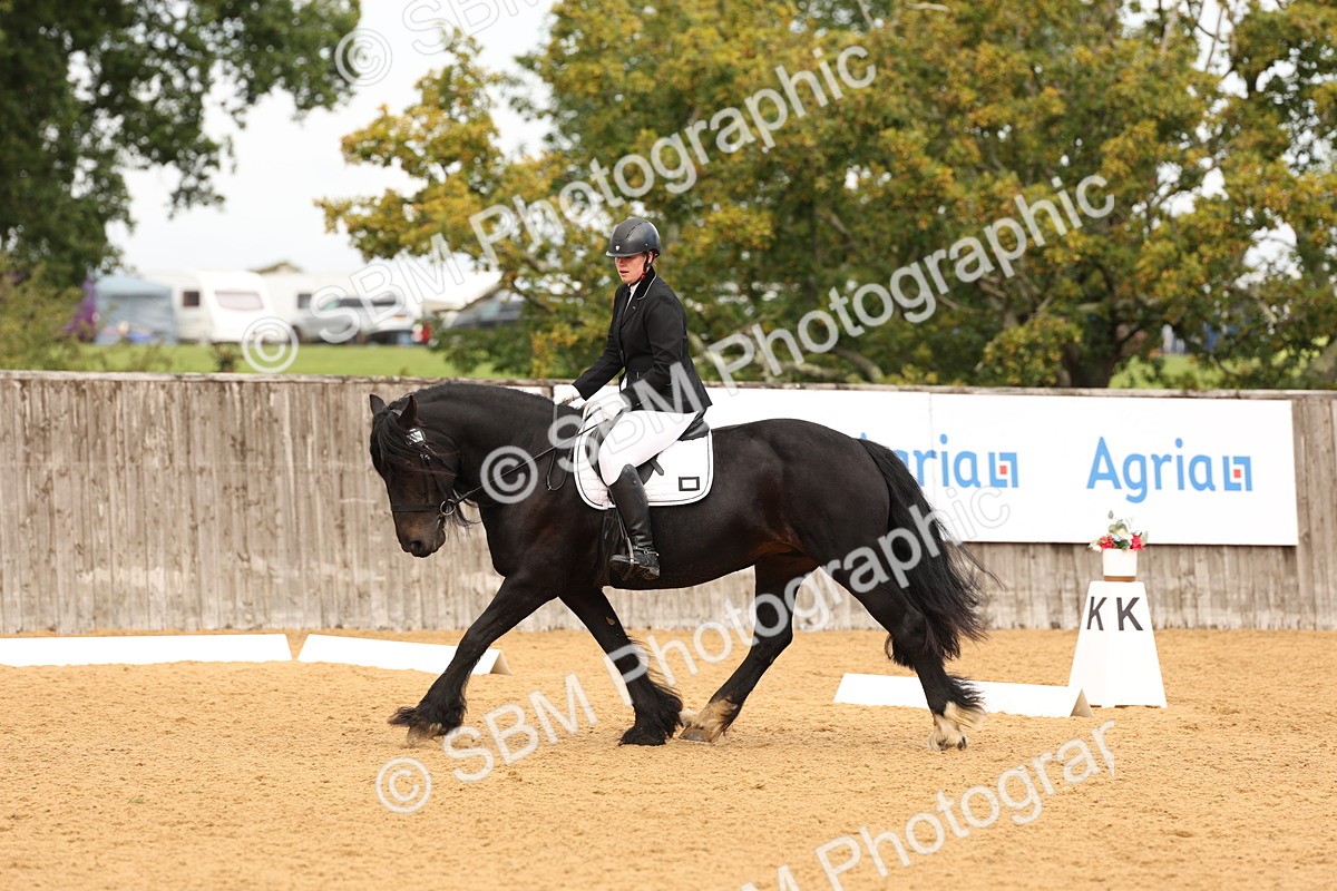 SBM_03575 - D1 - Small Tour Championship Intro 1