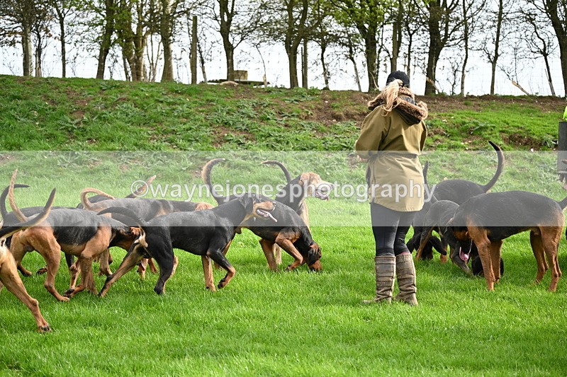 WJ6_9197 - Line Three