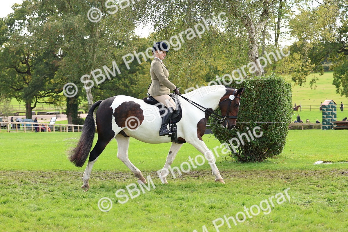 SBM_45165 - S27 - Young Veteran Ridden